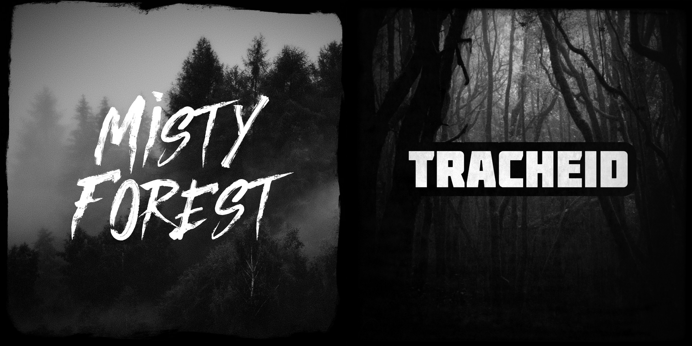 hudební skladby Misty Forest & Tracheid
